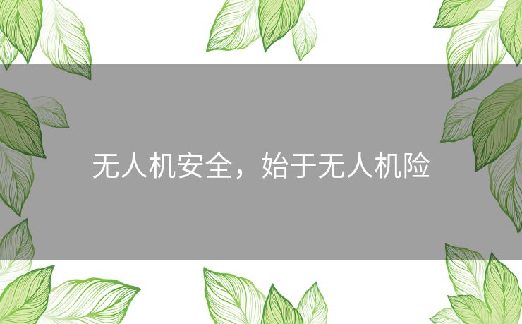 无人机安全，始于无人机险