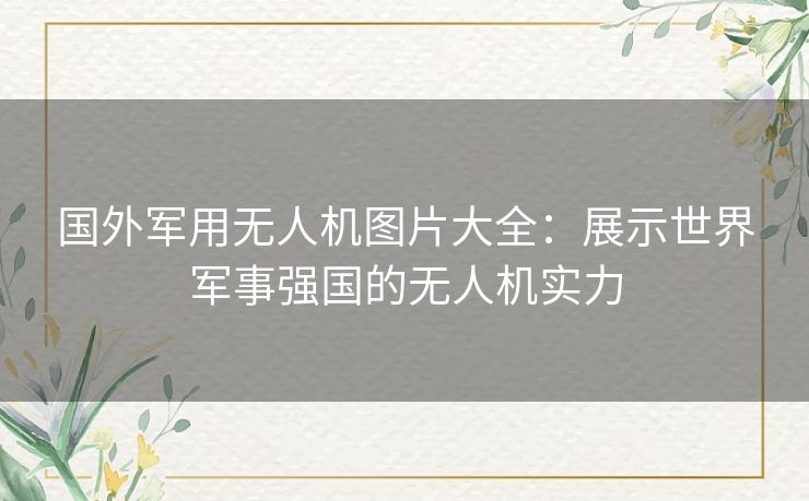 国外军用无人机图片大全：展示世界军事强国的无人机实力