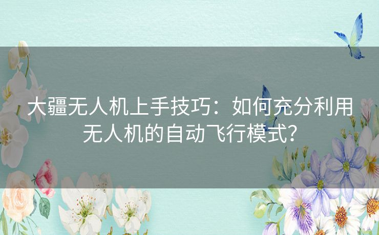 大疆无人机上手技巧：如何充分利用无人机的自动飞行模式？