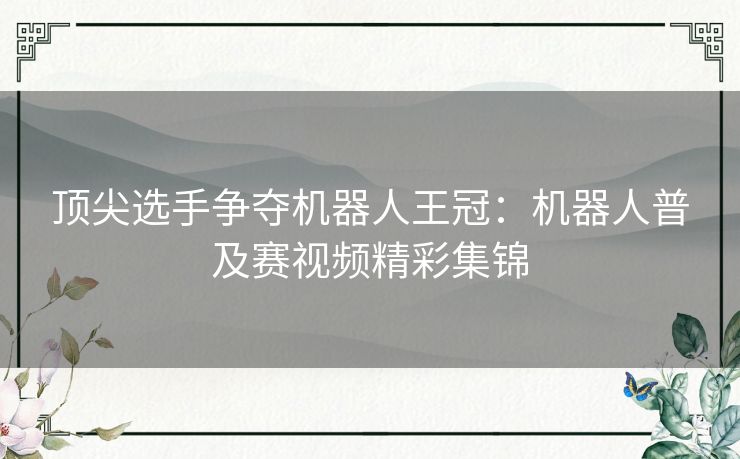 顶尖选手争夺机器人王冠：机器人普及赛视频精彩集锦