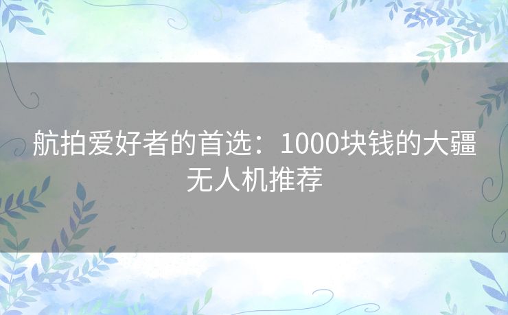 航拍爱好者的首选：1000块钱的大疆无人机推荐