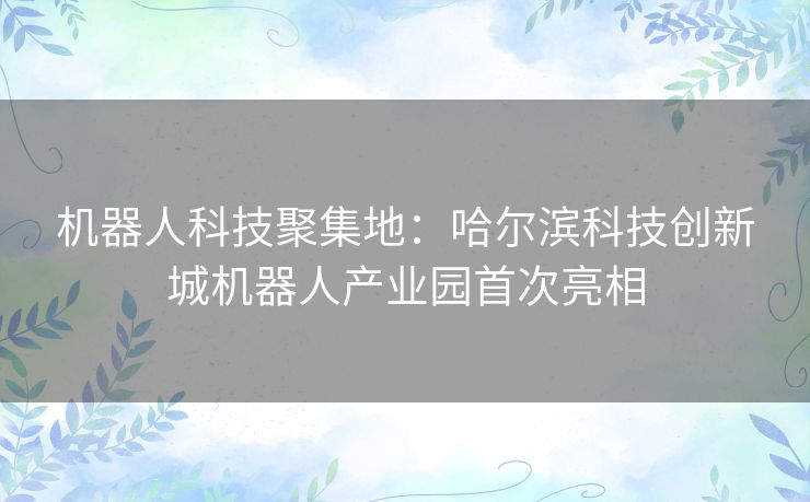 机器人科技聚集地：哈尔滨科技创新城机器人产业园首次亮相