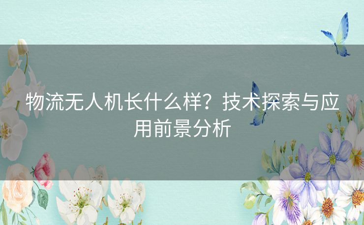 物流无人机长什么样？技术探索与应用前景分析