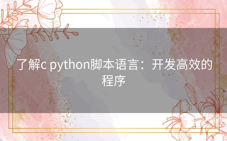 了解c python脚本语言：开发高效的程序