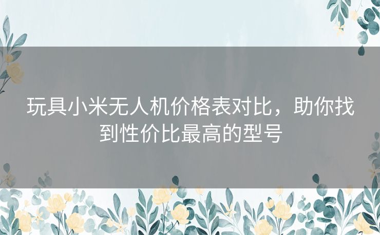 玩具小米无人机价格表对比，助你找到性价比最高的型号