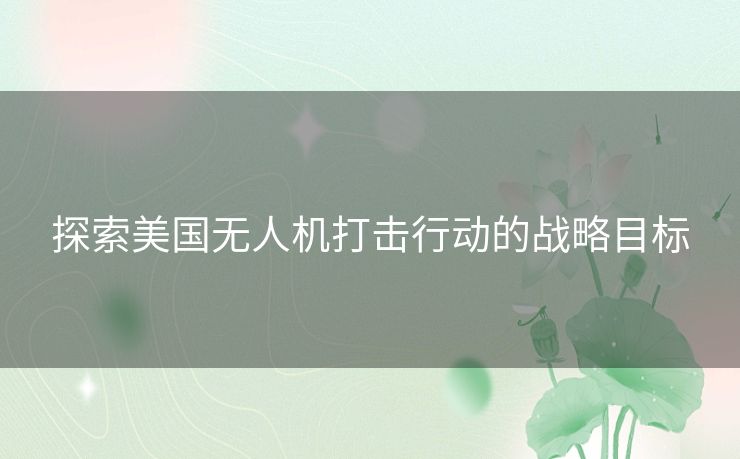 探索美国无人机打击行动的战略目标