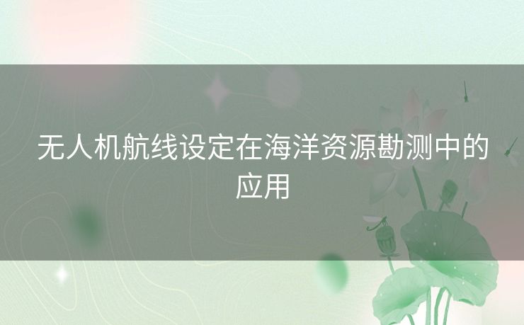 无人机航线设定在海洋资源勘测中的应用