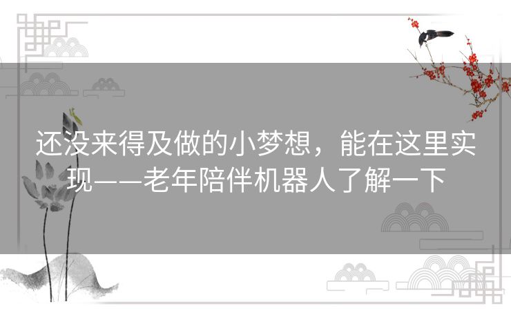 还没来得及做的小梦想，能在这里实现——老年陪伴机器人了解一下