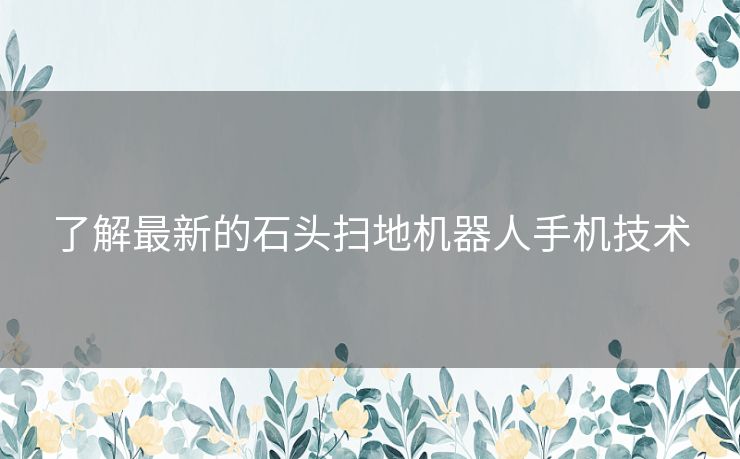 了解最新的石头扫地机器人手机技术