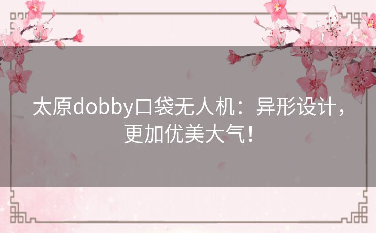 太原dobby口袋无人机：异形设计，更加优美大气！