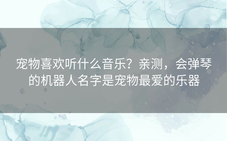 宠物喜欢听什么音乐？亲测，会弹琴的机器人名字是宠物最爱的乐器