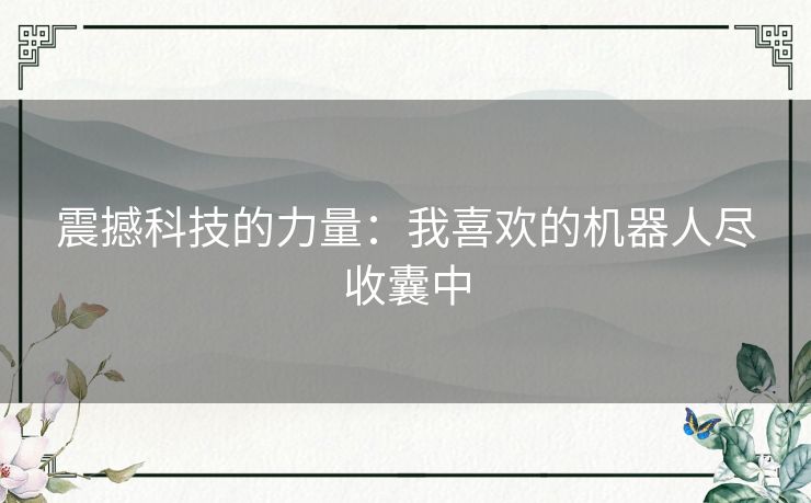 震撼科技的力量：我喜欢的机器人尽收囊中