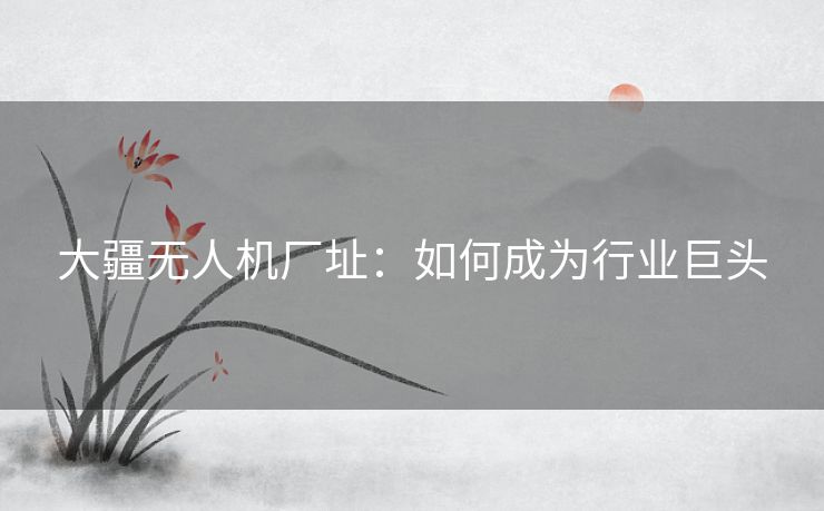 大疆无人机厂址：如何成为行业巨头