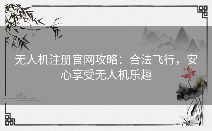 无人机注册官网攻略：合法飞行，安心享受无人机乐趣