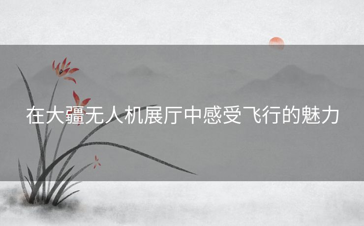 在大疆无人机展厅中感受飞行的魅力