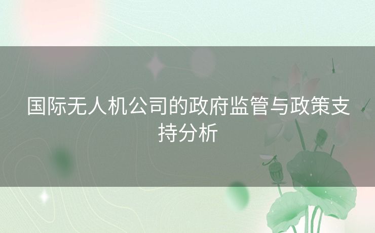 国际无人机公司的政府监管与政策支持分析