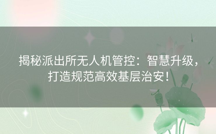 揭秘派出所无人机管控：智慧升级，打造规范高效基层治安！