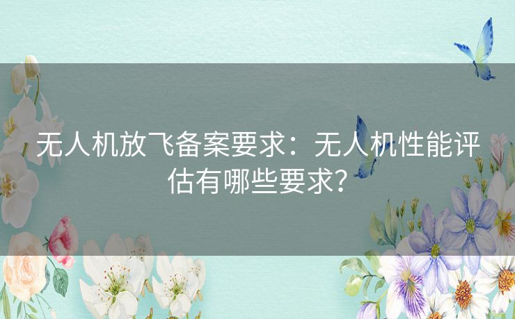 无人机放飞备案要求：无人机性能评估有哪些要求？