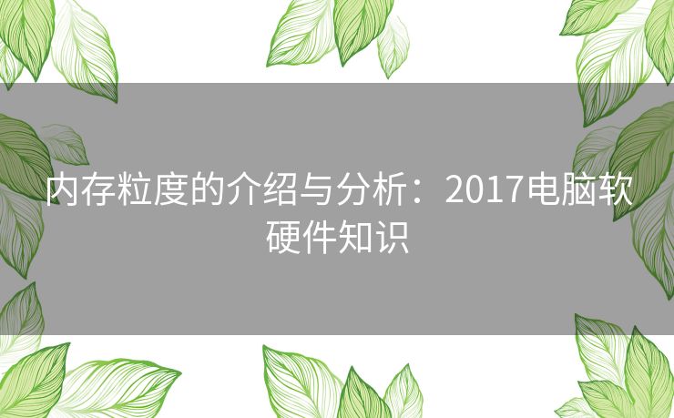 内存粒度的介绍与分析：2017电脑软硬件知识