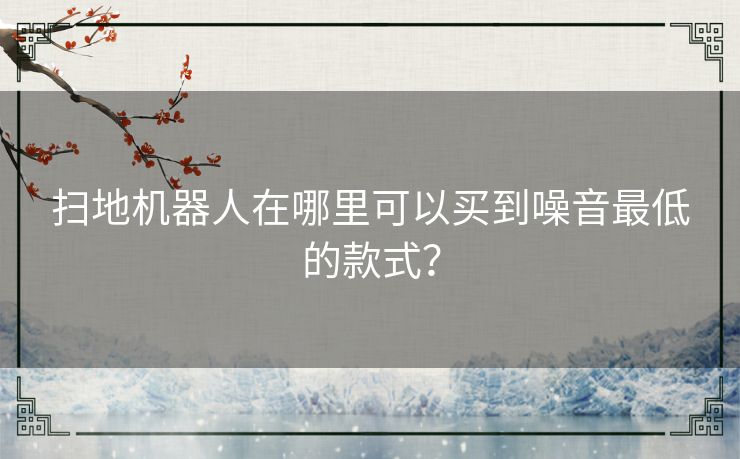 扫地机器人在哪里可以买到噪音最低的款式？