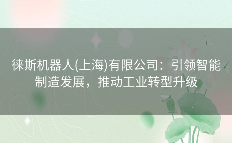 徕斯机器人(上海)有限公司：引领智能制造发展，推动工业转型升级