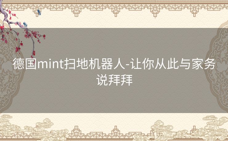 德国mint扫地机器人-让你从此与家务说拜拜