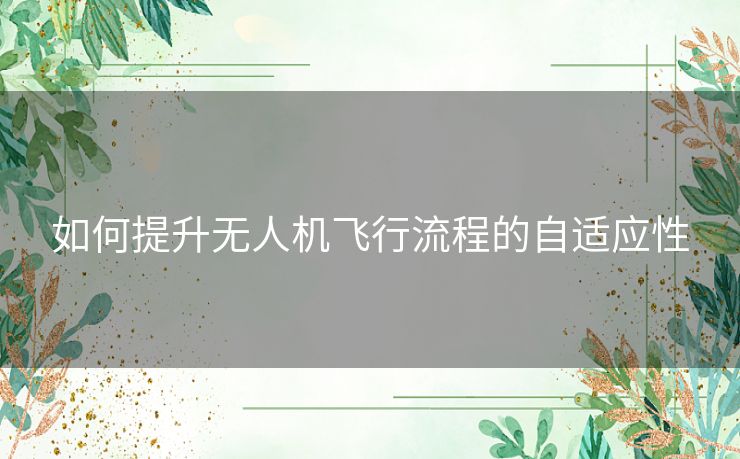 如何提升无人机飞行流程的自适应性