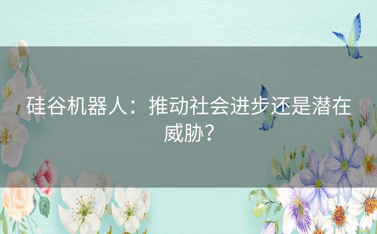 硅谷机器人：推动社会进步还是潜在威胁？