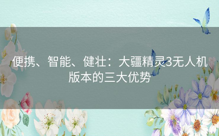 便携、智能、健壮：大疆精灵3无人机版本的三大优势