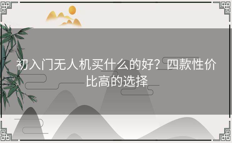 初入门无人机买什么的好？四款性价比高的选择