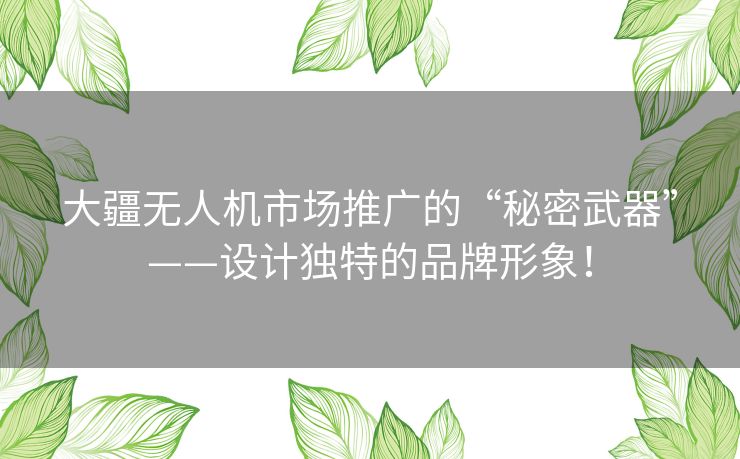 大疆无人机市场推广的“秘密武器”——设计独特的品牌形象！