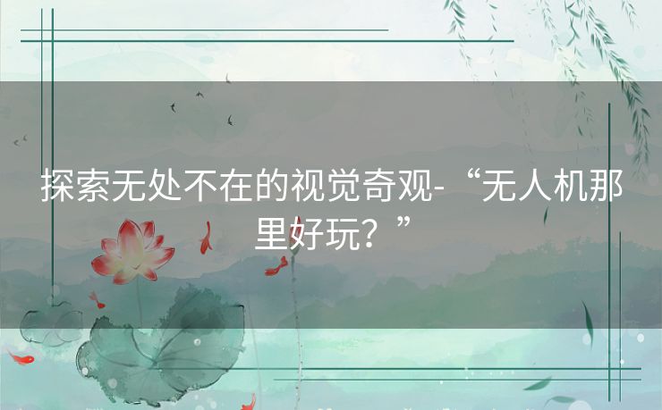 探索无处不在的视觉奇观-“无人机那里好玩？”