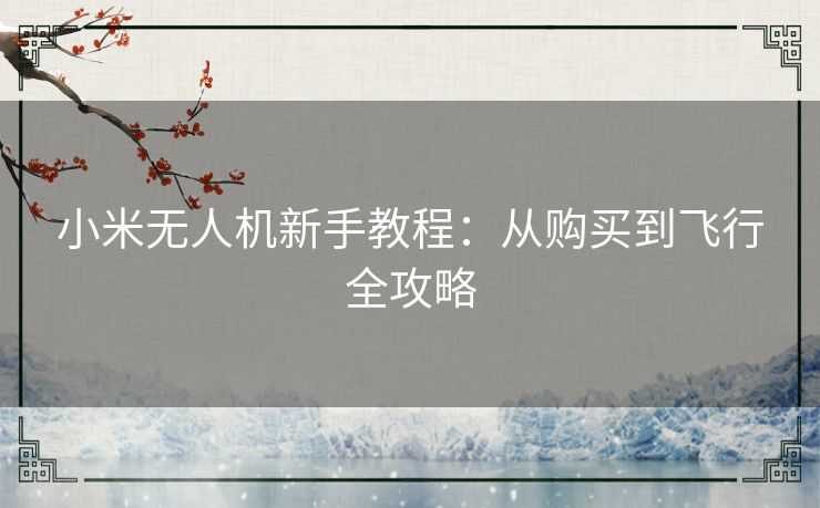 小米无人机新手教程：从购买到飞行全攻略