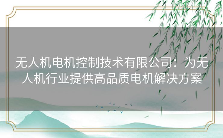 无人机电机控制技术有限公司：为无人机行业提供高品质电机解决方案