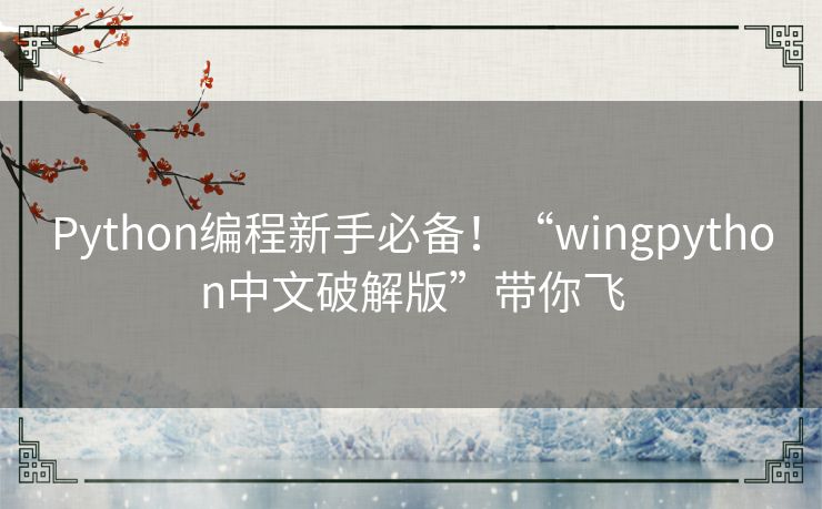 Python编程新手必备！“wingpython中文破解版”带你飞