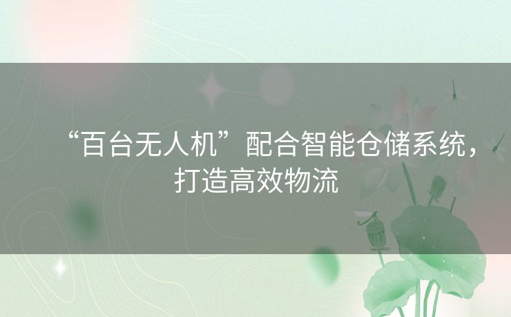 “百台无人机”配合智能仓储系统，打造高效物流