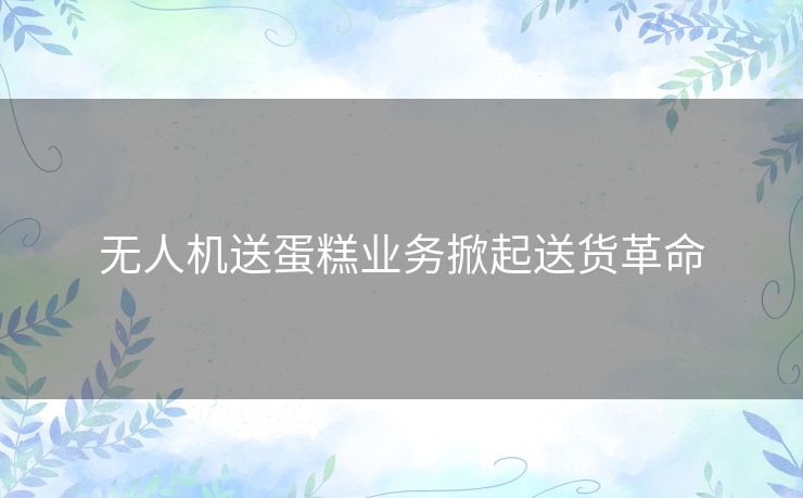 无人机送蛋糕业务掀起送货革命