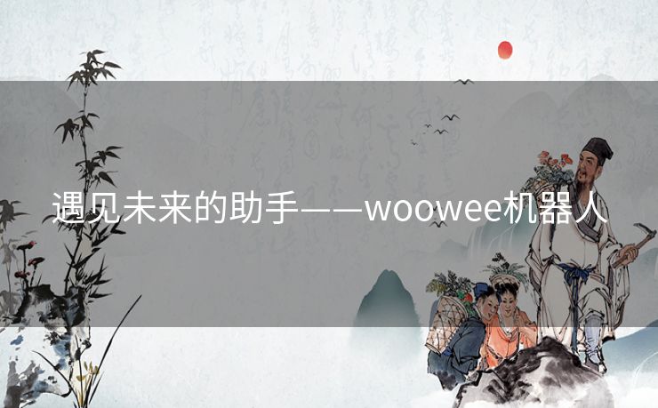 遇见未来的助手——woowee机器人