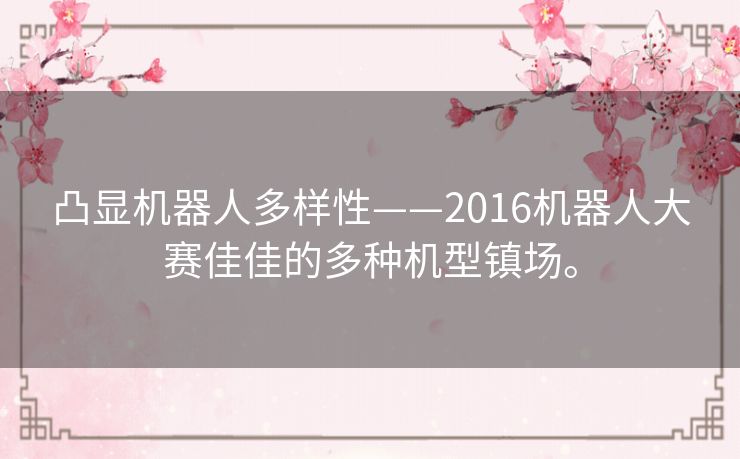 凸显机器人多样性——2016机器人大赛佳佳的多种机型镇场。