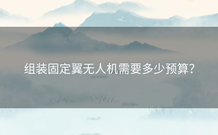 组装固定翼无人机需要多少预算？