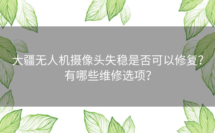 大疆无人机摄像头失稳是否可以修复？有哪些维修选项？