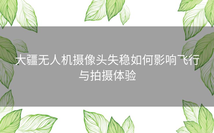 大疆无人机摄像头失稳如何影响飞行与拍摄体验