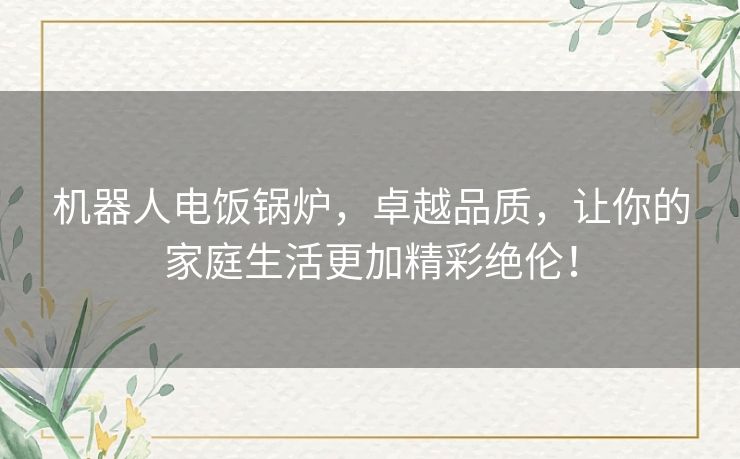 机器人电饭锅炉，卓越品质，让你的家庭生活更加精彩绝伦！