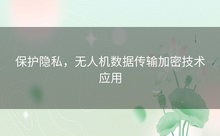 保护隐私，无人机数据传输加密技术应用