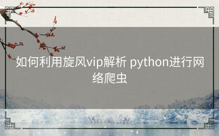 如何利用旋风vip解析 python进行网络爬虫