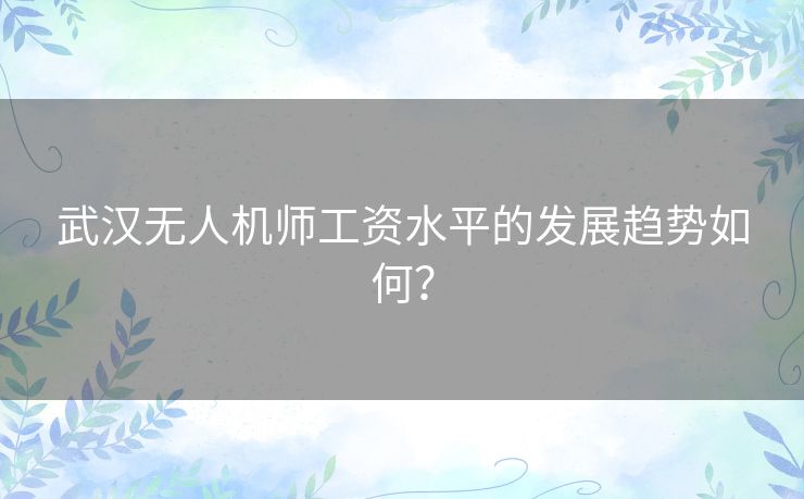 武汉无人机师工资水平的发展趋势如何？