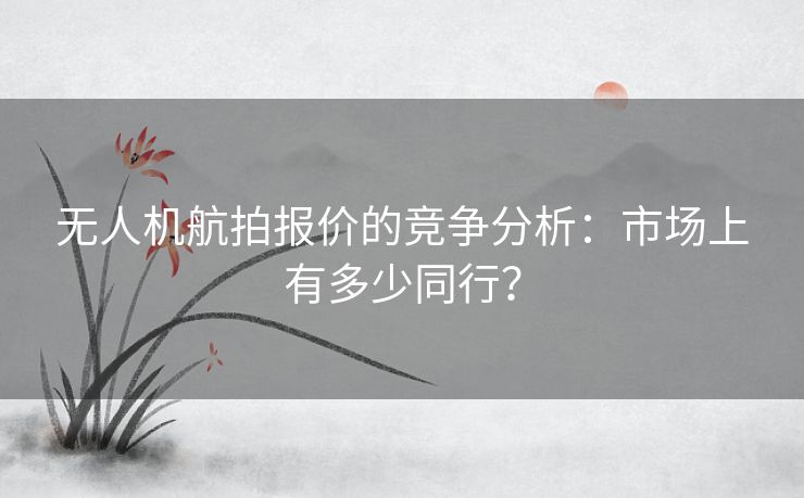 无人机航拍报价的竞争分析：市场上有多少同行？