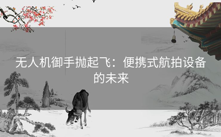 无人机御手抛起飞：便携式航拍设备的未来