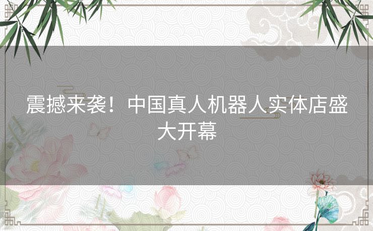 震撼来袭！中国真人机器人实体店盛大开幕