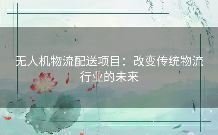 无人机物流配送项目：改变传统物流行业的未来